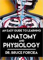 An Easy Guide To Learning Anatomy And Physiology