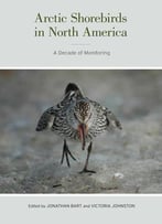 Arctic Shorebirds In North America: A Decade Of Monitoring