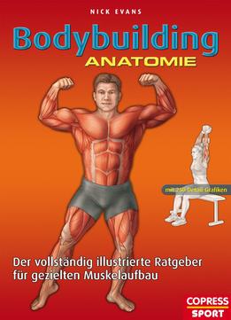 Bodybuilding Anatomie: Der Vollständig Illustrierte Ratgeber Für Gezielten Muskelaufbau