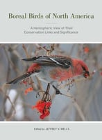 Boreal Birds Of North America: A Hemispheric View Of Their Conservation Links And Significance