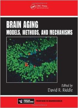 Brain Aging: Models, Methods, And Mechanisms