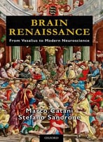 Brain Renaissance: From Vesalius To Modern Neuroscience