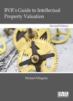 Bvr’S Guide To Intellectual Property Valuation, Second Edition