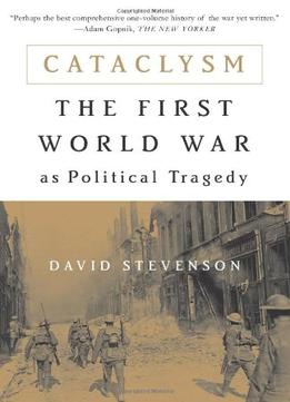 Cataclysm: The First World War As Political Tragedy