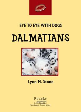 Dalmatians (Eye To Eye With Dogs Ii)