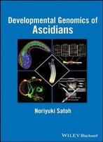 Developmental Genomics Of Ascidians