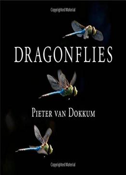 Dragonflies: Magnificent Creatures Of Water, Air, And Land