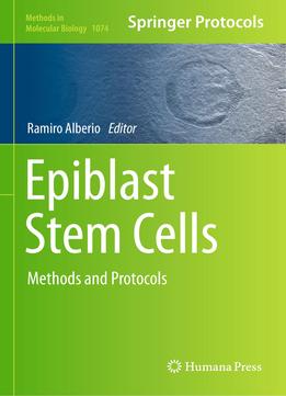 Epiblast Stem Cells: Methods And Protocols (Methods In Molecular Biology, Book 1074)