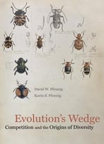Evolution’S Wedge: Competition And The Origins Of Diversity