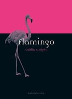 Flamingo (Animal)