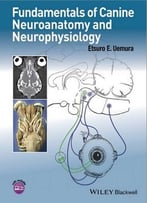 Fundamentals Of Canine Neuroanatomy And Neurophysiology