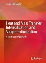 Heat And Mass Transfer Intensification And Shape Optimization: A Multi-Scale Approach