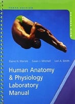 Human Anatomy & Physiology Laboratory Manual, Main Version, 10th Edition