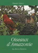 Oiseaux D’Amazonie