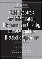 Oxidative Stress And Inflammatory Mechanisms In Obesity, Diabetes, And The Metabolic Syndrome