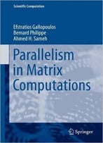 Parallelism In Matrix Computations