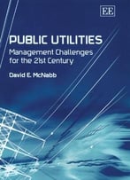 Public Utilities: Management Challenges For The 21st Century By David E. Mcnabb