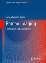 Raman Imaging: Techniques And Applications By Arnaud Zoubir