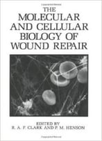 The Molecular And Cellular Biology Of Wound Repair