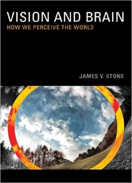 Vision And Brain: How We Perceive The World