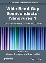 Wide Band Gap Semiconductor Nanowires For Optical Devices: Low-Dimensionality Related Effects And Growth