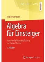 Algebra Für Einsteiger: Von Der Gleichungsauflösung Zur Galois-Theorie, 5 Auflage