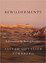 Bewilderments: Reflections On The Book Of Numbers