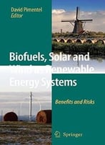 Biofuels, Solar And Wind As Renewable Energy Systems: Benefits And Risks