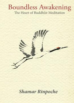 Boundless Awakening: The Heart Of Buddhist Meditation