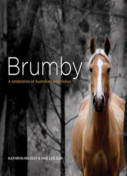 Brumby: A Celebration Of Australia’S Wild Horses