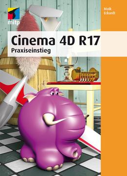 Cinema 4D R 17 (Mitp Professional): Praxiseinstieg
