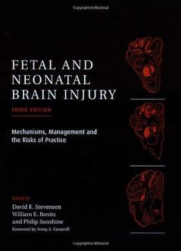 Fetal And Neonatal Brain Injury: Mechanisms, Management And The Risks Of Practice (3Rd Edition)