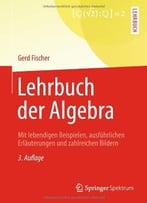 Lehrbuch Der Algebra: Mit Lebendigen Beispielen, Ausführlichen Erläuterungen Und Zahlreichen Bildern, 3 Auflage