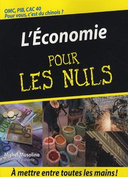 Michel Musolino, L’Economie Pour Les Nuls