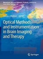 Optical Methods And Instrumentation In Brain Imaging And Therapy