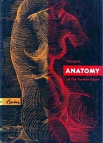 Pictorial Anatomy Of The Human Figure
