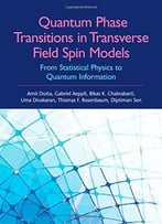 Quantum Phase Transitions In Transverse Field Spin Models: From Statistical Physics To Quantum Information