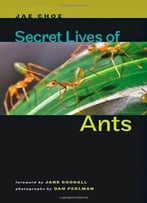 Secret Lives Of Ants