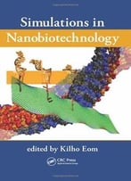Simulations In Nanobiotechnology