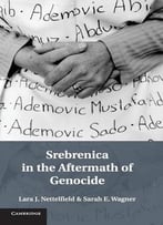 Srebrenica In The Aftermath Of Genocide