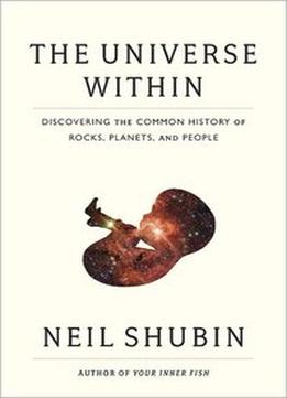 The Universe Within: Discovering The Common History Of Rocks, Planets, And People