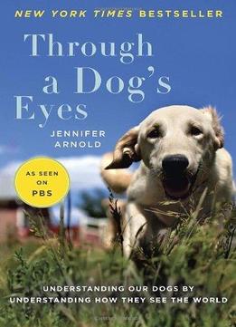 Through A Dog’S Eyes: Understanding Our Dogs By Understanding How They See The World