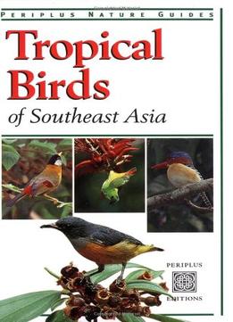 Tropical Birds Of Southeast Asia