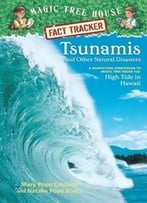 Tsunamis And Other Natural Disasters
