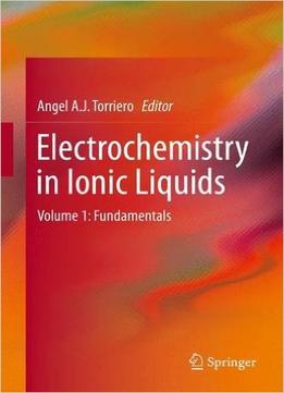 Electrochemistry In Ionic Liquids: Volume 1: Fundamentals