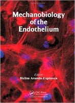 Mechanobiology Of The Endothelium