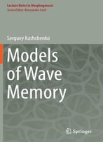 Models Of Wave Memory