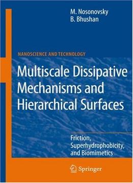 Multiscale Dissipative Mechanisms And Hierarchical Surfaces