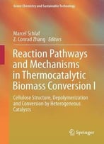 Reaction Pathways And Mechanisms In Thermocatalytic Biomass Conversion