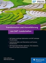 Transformation Und Konsolidierung Von Sap-Landschaften